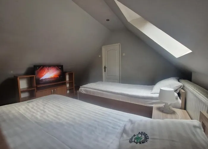 Goscinne Andrzejowka Andrzej Sikon *